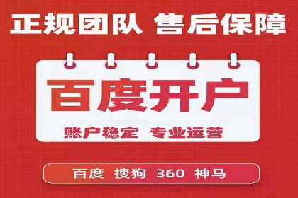 SEM推广公司案例分享：电商品牌崛起之路